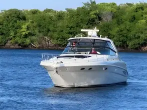 Thumbnail von Sea Ray 460 Sundancer