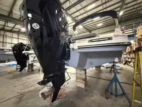 Thumbnail von Sea Ray SDX 230 Outboard