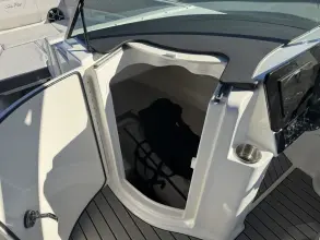 Thumbnail von Sea Ray SDX 230 Outboard