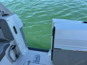Thumbnail von Boston Whaler 330 Vantage