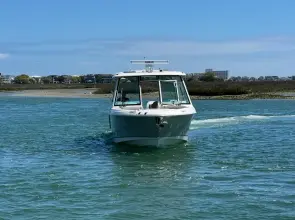 Thumbnail von Boston Whaler 330 Vantage