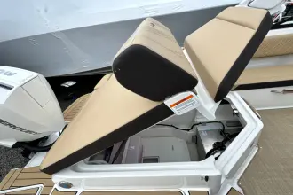 Thumbnail von Sea Ray SDX 250 Outboard