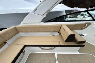 Thumbnail von Sea Ray SDX 250 Outboard