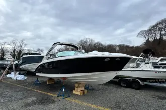 Thumbnail von Sea Ray SDX 250 Outboard
