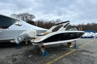 Thumbnail von Sea Ray SDX 250 Outboard