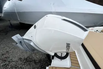 Thumbnail von Sea Ray SDX 250 Outboard