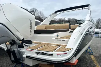 Thumbnail von Sea Ray SDX 250 Outboard