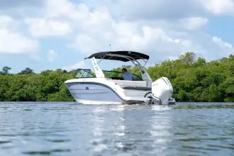 Thumbnail von Sea Ray SDX 270 Outboard