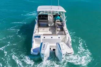 Thumbnail von Boston Whaler 280 Vantage