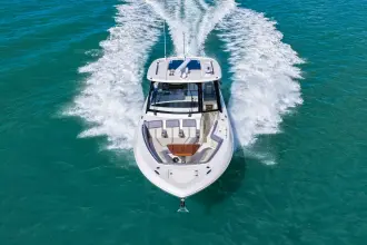 Thumbnail von Boston Whaler 380 Realm