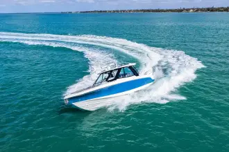 Thumbnail von Boston Whaler 380 Realm