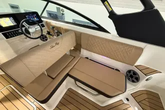 Thumbnail von Sea Ray SDX 250 Surf