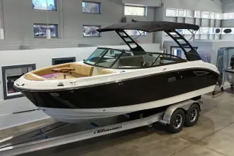 Thumbnail von Sea Ray SDX 250 Surf