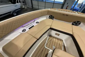 Thumbnail von Sea Ray SDX 250 Surf