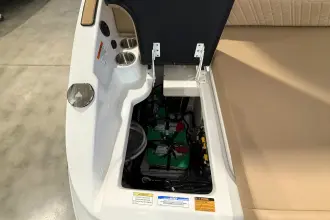 Thumbnail von Sea Ray SDX 250 Surf