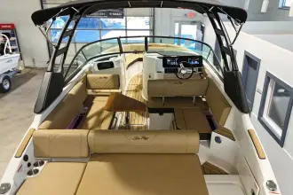 Thumbnail von Sea Ray SDX 250 Surf