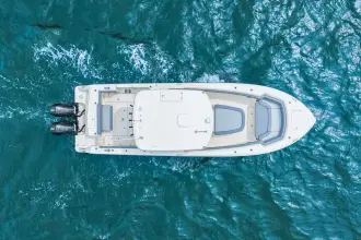 Thumbnail von Boston Whaler 330 Outrage