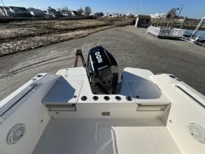 Thumbnail von Boston Whaler 210 Vantage