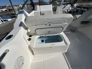Thumbnail von Boston Whaler 210 Vantage