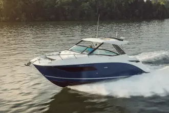 Thumbnail von Sea Ray Sundancer 320