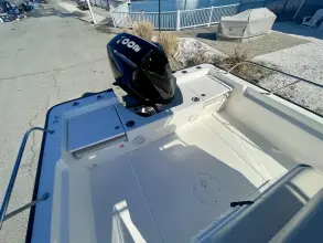 Thumbnail von Boston Whaler 210 Montauk