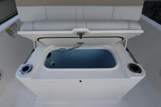 Thumbnail von Boston Whaler 220 Dauntless