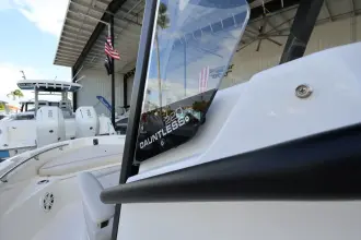 Thumbnail von Boston Whaler 220 Dauntless