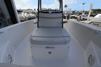 Thumbnail von Boston Whaler 220 Dauntless