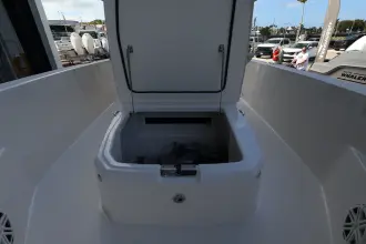 Thumbnail von Boston Whaler 220 Dauntless