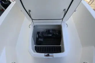 Thumbnail von Boston Whaler 220 Dauntless