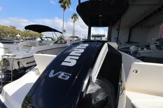 Thumbnail von Boston Whaler 220 Dauntless