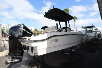 Thumbnail von Boston Whaler 220 Dauntless