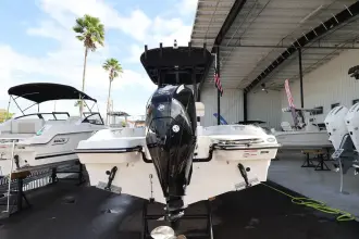Thumbnail von Boston Whaler 220 Dauntless