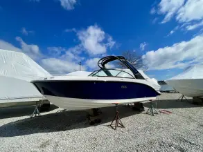 Thumbnail von Sea Ray SDX 230 Outboard