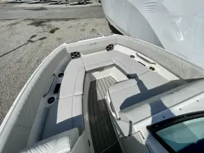 Thumbnail von Sea Ray SDX 230 Outboard