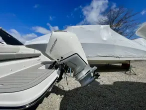 Thumbnail von Sea Ray SDX 230 Outboard