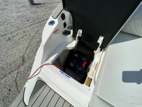 Thumbnail von Sea Ray SDX 230 Outboard