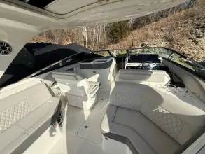 Thumbnail von Sea Ray SLX 310