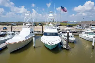 Thumbnail von Viking 54 Convertible