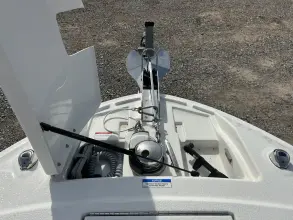 Thumbnail von Sea Ray SLX 310 Outboard