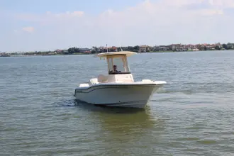 Thumbnail von Grady White Fisherman 216