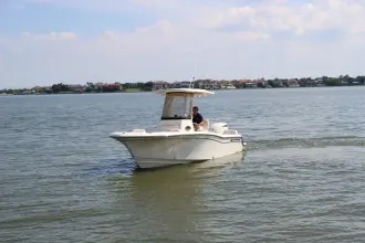 Thumbnail von Grady White Fisherman 216