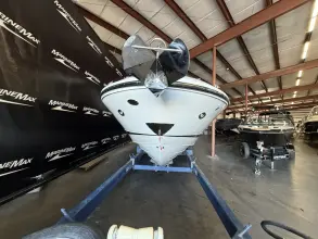 Thumbnail von Sea Ray SLX 310