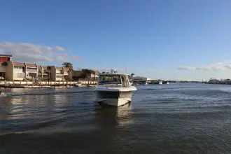Thumbnail von Boston Whaler 380 Realm