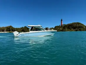 Boston Whaler 330 Vantage