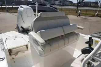 Thumbnail von Boston Whaler 250 Dauntless