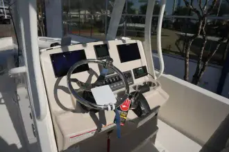 Thumbnail von Boston Whaler 250 Dauntless