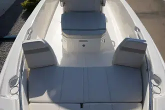 Thumbnail von Boston Whaler 250 Dauntless