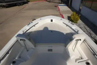 Thumbnail von Boston Whaler 250 Dauntless