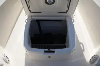 Thumbnail von Boston Whaler 250 Dauntless